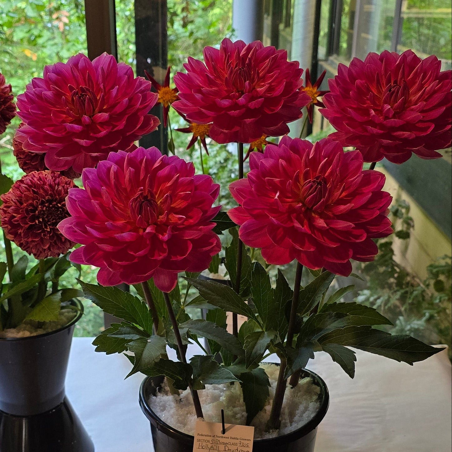 Bouquet of pink flowers in a black pot on a white surface with a blurred background